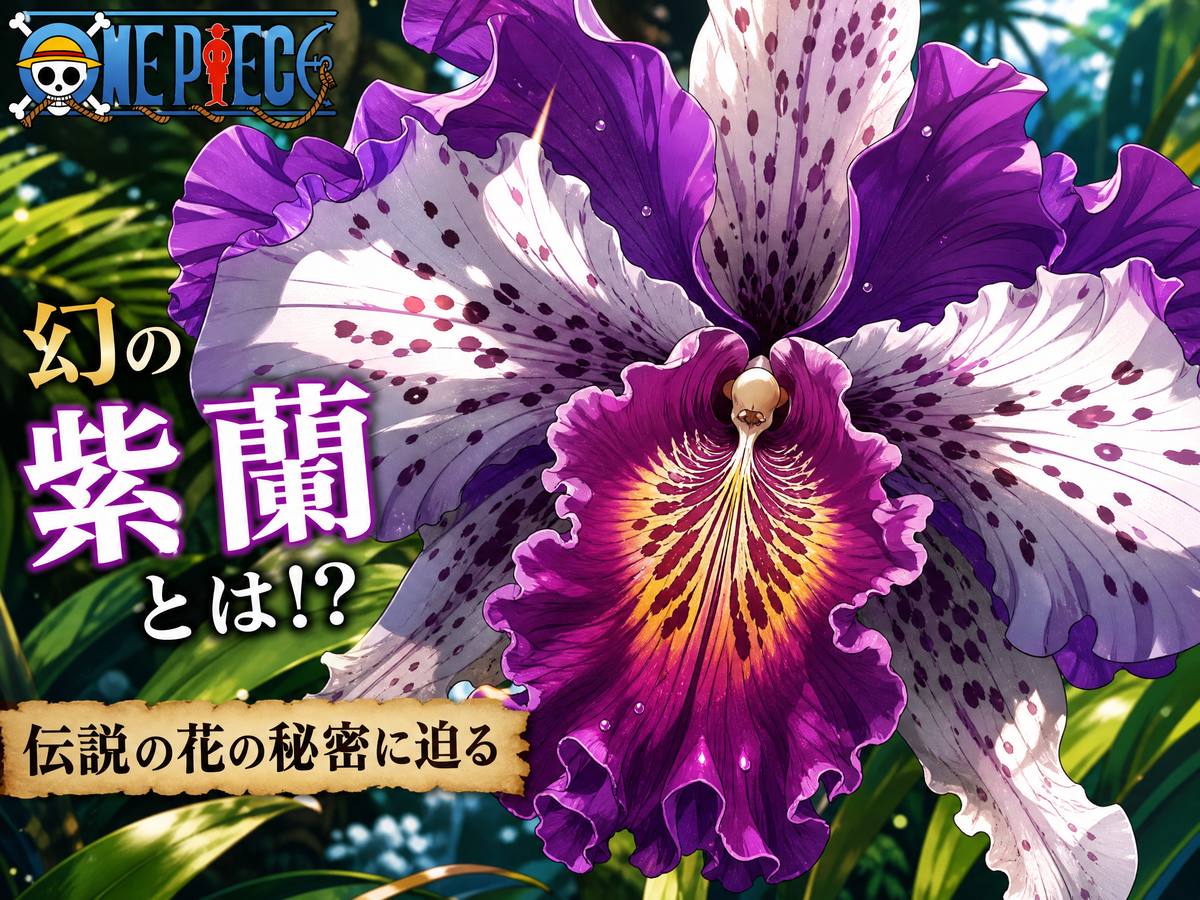 萝莉岛
